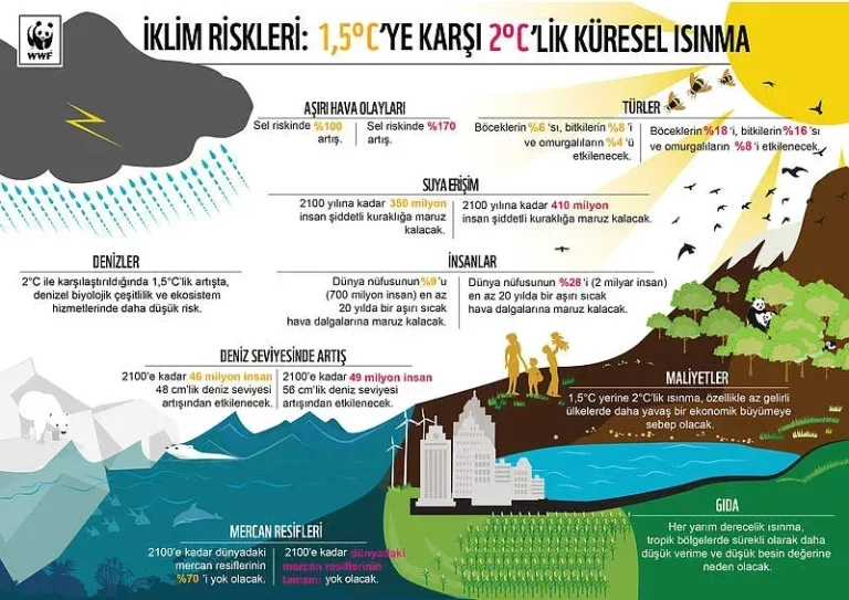 İklim politikaları ve doğal afetlerin küresel etkileri