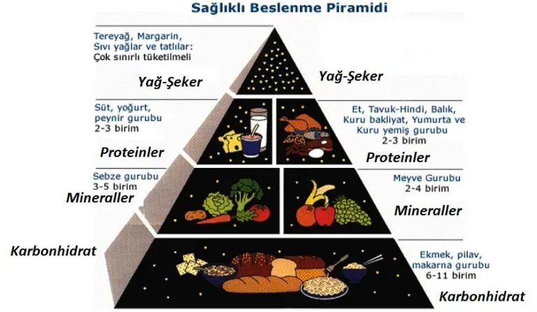 Sağlıklı Beslenme Planı: Aile İçin Kolay Lezzetli Tarifler